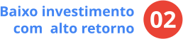 02 Baixo investimento com  alto retorno